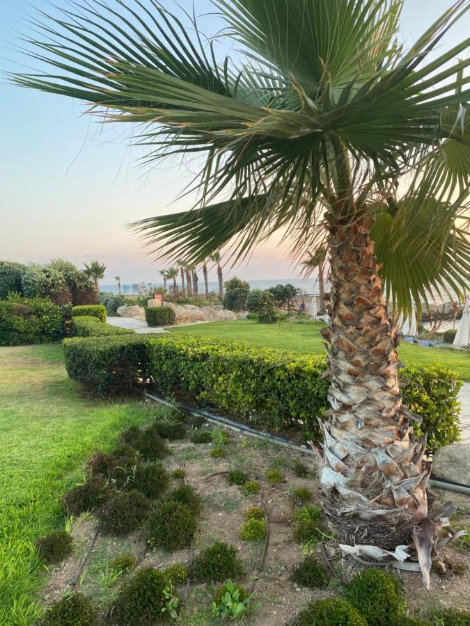 Royal Seacrest F G5 Ground Floor Apartment Paphos Exteriér fotografie